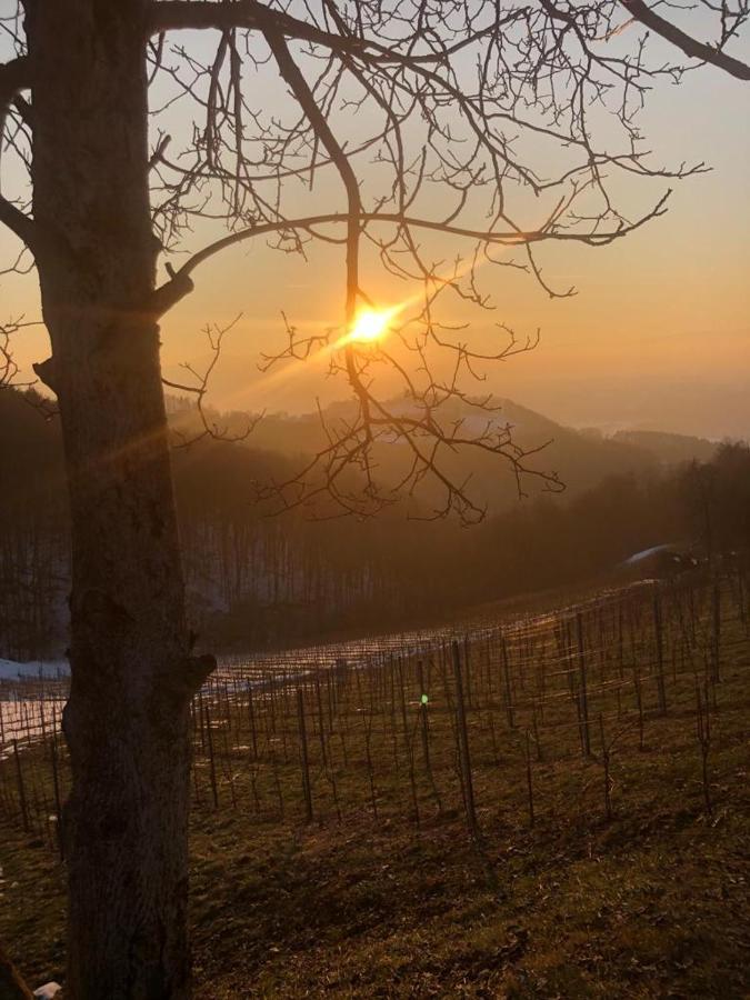 Gaestezimmer Klopfer Sankt Johann im Saggautal Екстериор снимка